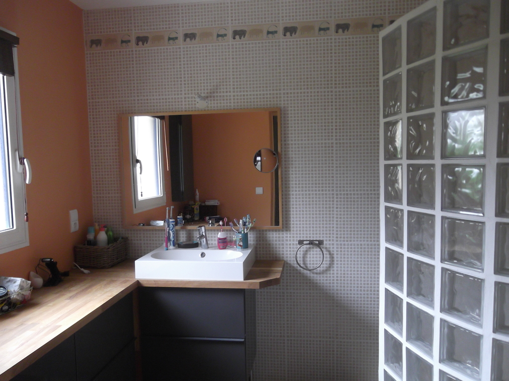 Salle d'eau au rez de chaussée