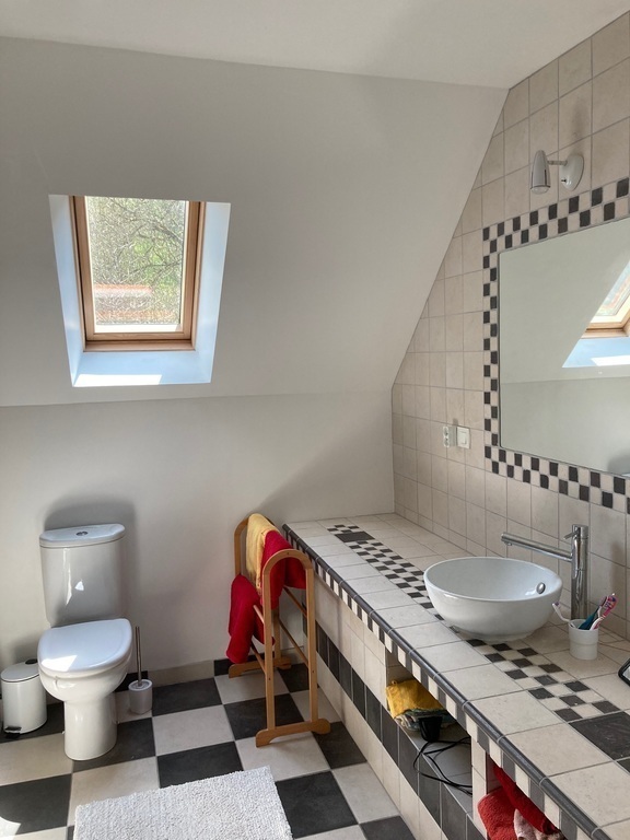 The bathroom of the previous bedroom