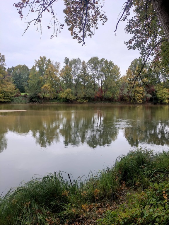 Loire river, autumn colours