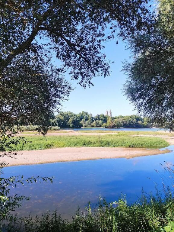 The cathedral from the Loire river