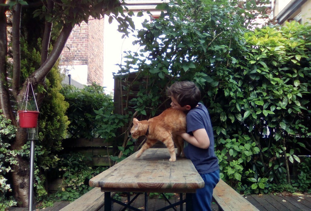terrasse - Marius et le chat Rouroux
