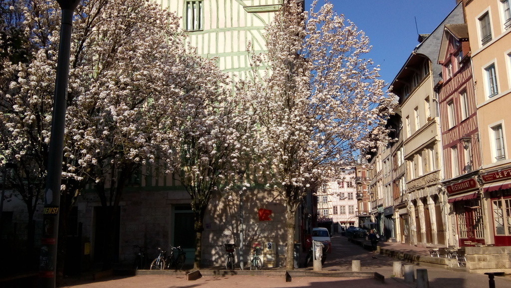 Rouen au printemps