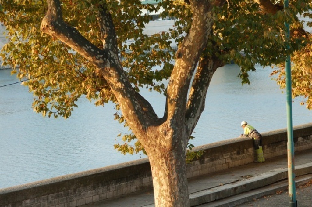 Le Rhône vu de la terrasse