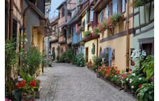 The charming village of Eguisheim, 3 km from our house, elected the most beautiful villahge of france in 2014 !