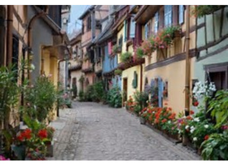 The charming village of Eguisheim, 3 km from our house, elected the most beautiful villahge of france in 2014 !
