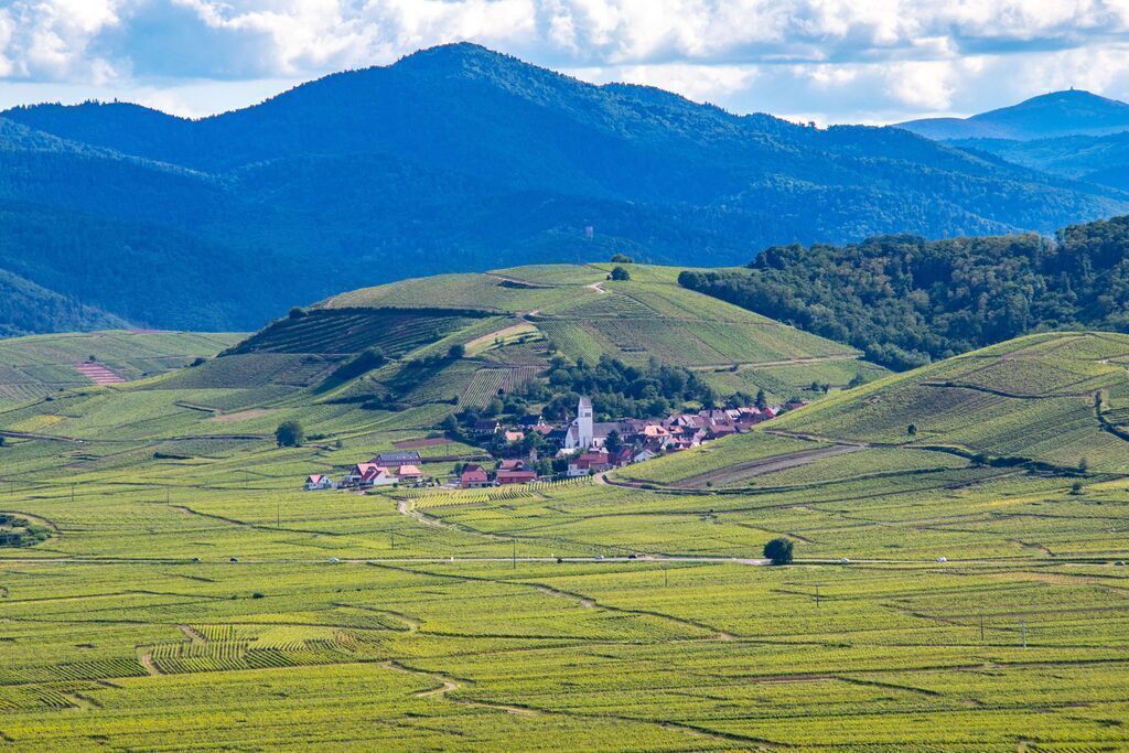 Katzenthal, 15 mn away from our house. 