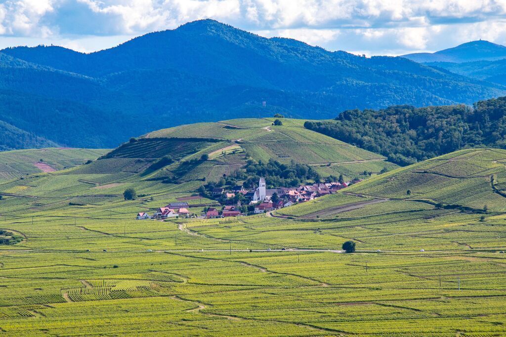 Katzenthal, 15 mn away from our house. 