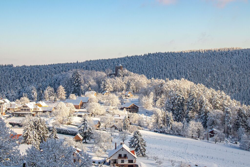 An alsatian village in winter, under the snow.
