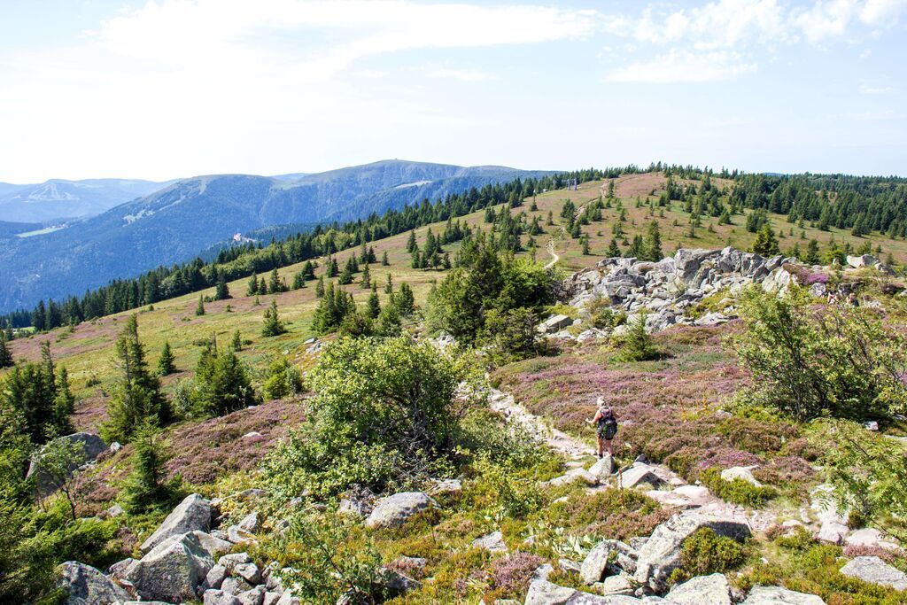 Hiking in the little mountains, Les Vosges. Here : le sentier des crêtes.