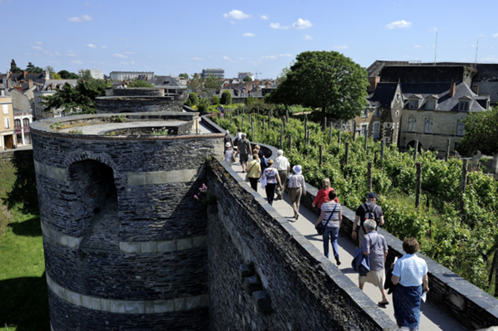 Angers castle