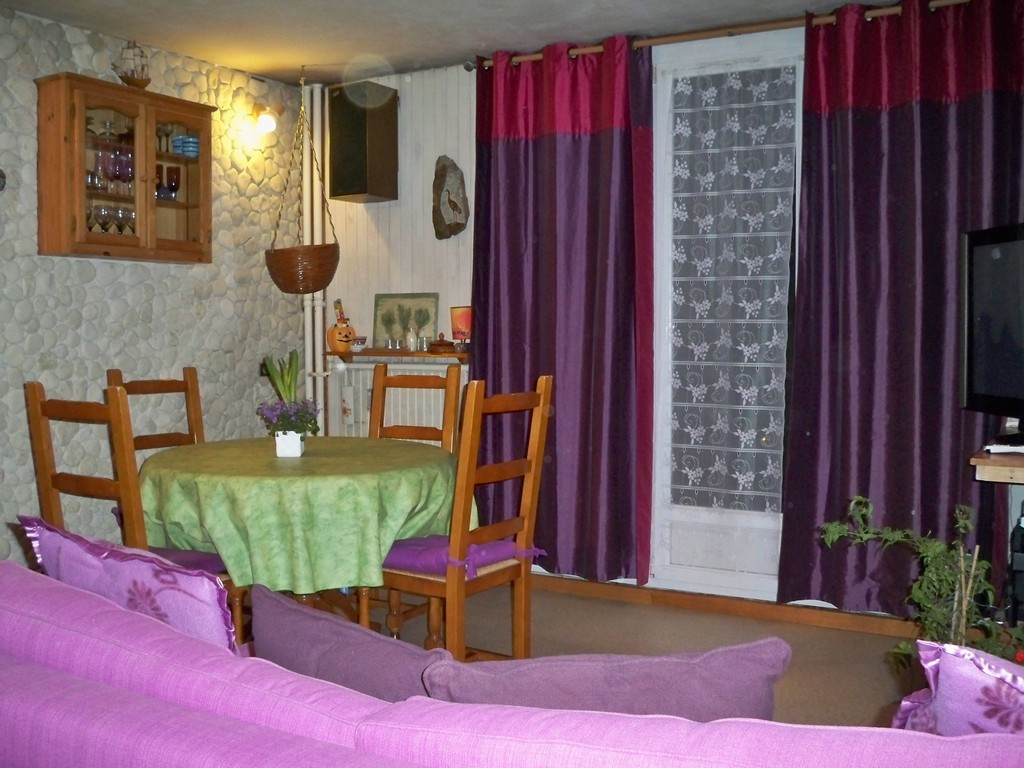 Le salon salle à manger (avec un canapé lit)