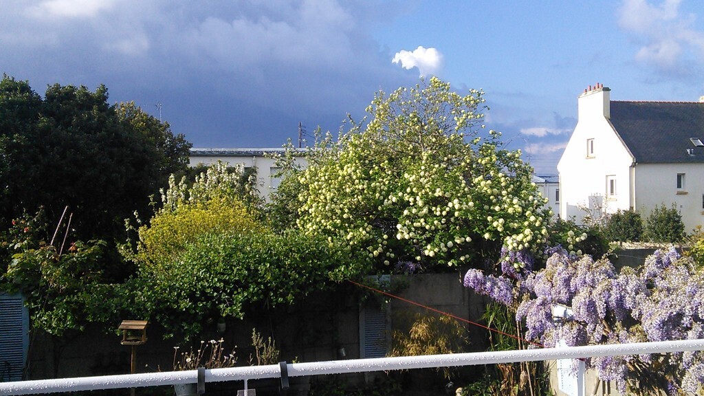 View from the terrasse