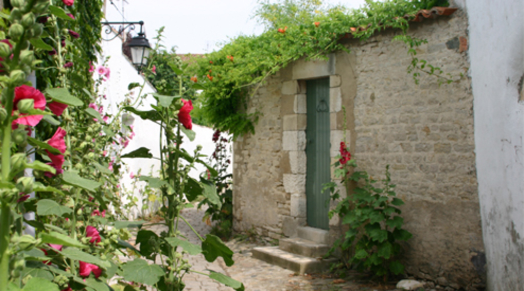 Village de St Martin de Ré ( 20 minutes de la maison en voiture)