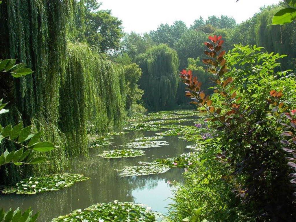 Giverny, Monet ‘s home, museum and garden. 1 hour by car.