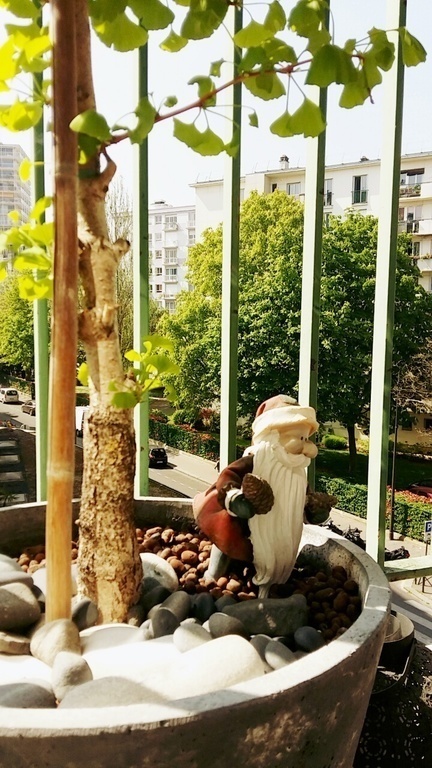 Our friend on the balcony