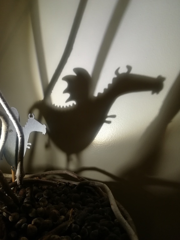 Our home is inhabited by strange creatures