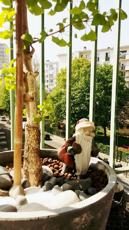 Our friend on the balcony