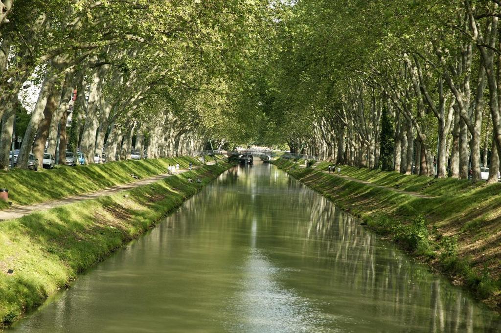 Toulouse : le canal du midi. Perfect for a little escape (running, biking, or just walking)