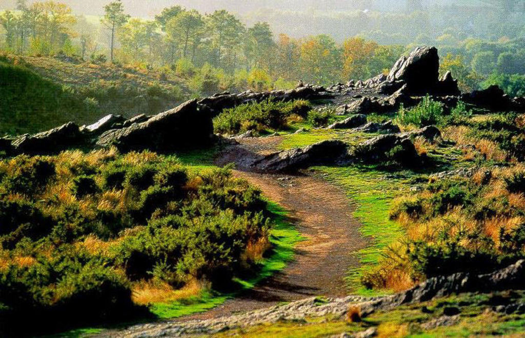 la forêt de Brocéliande (40 min by car)
