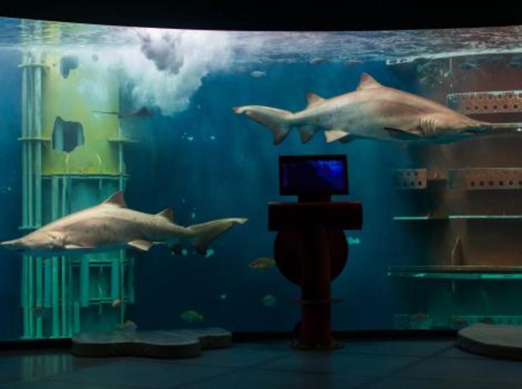 Aquarium de Saint Malo (45 min by car)