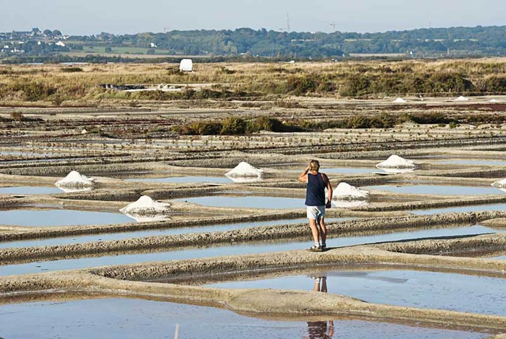Marais salants de Guérande (1h40 by car)