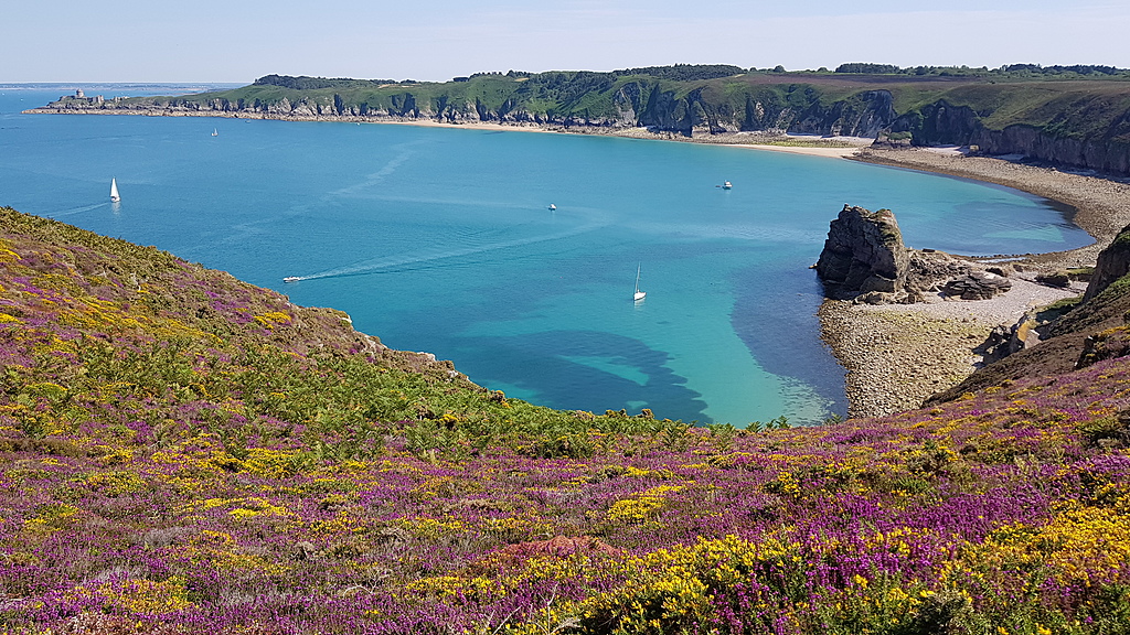 on the way back between Cap Fréhel and Fort Lalatte