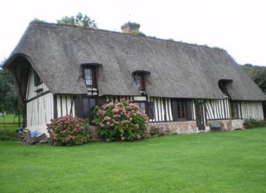 The house and the front garden