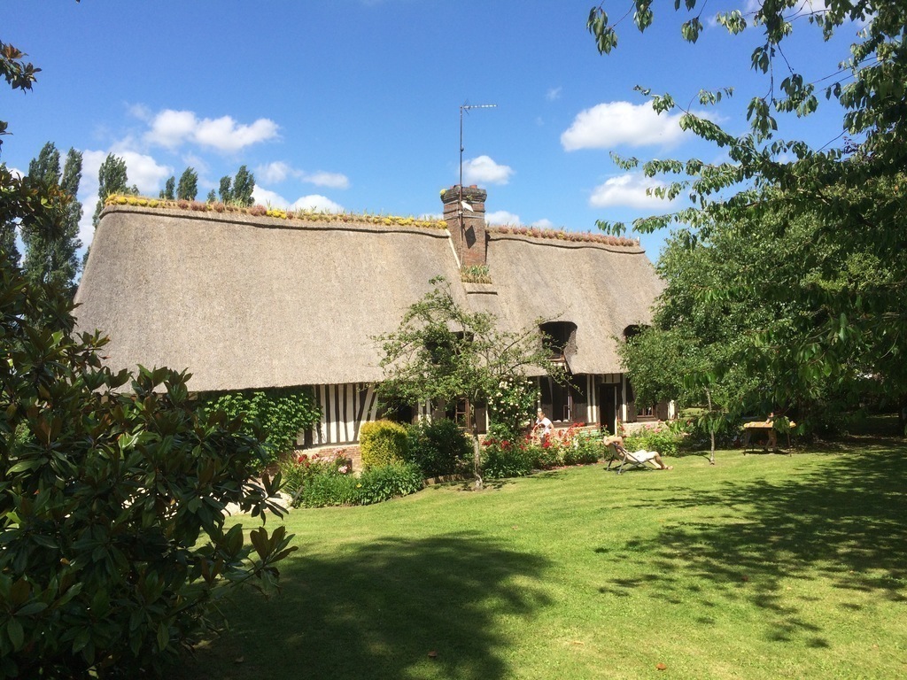The house and the back garden at summer time
