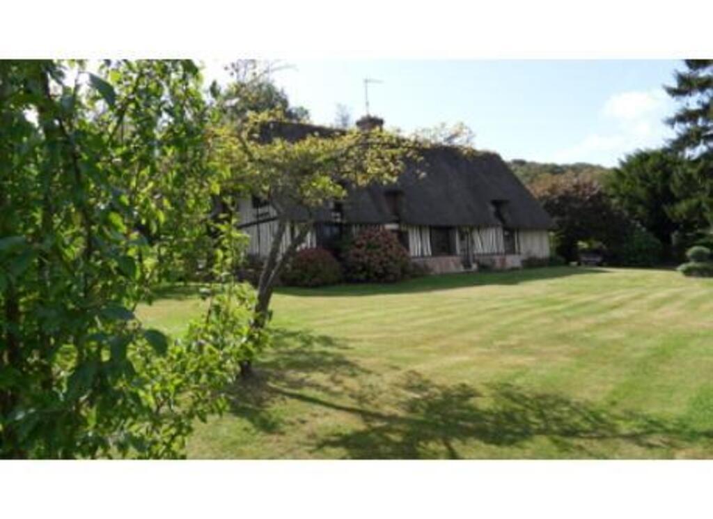 Le jardin / The front garden at summer time