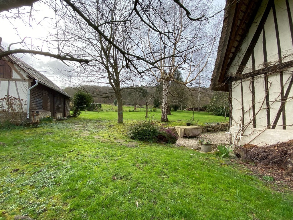 The garden from the side of the house at winter time