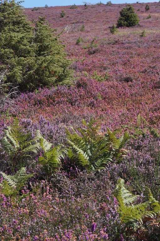 La Montagne noire à 20 mn de Carcassonne