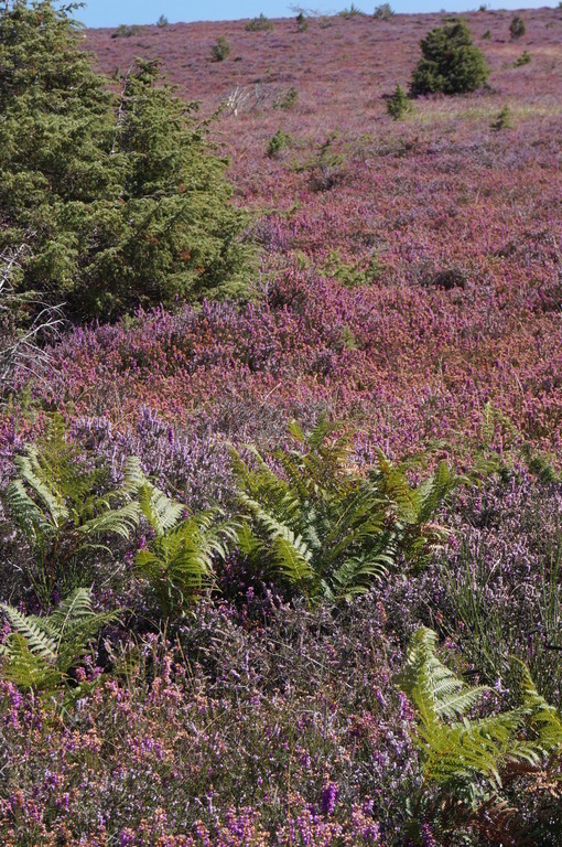 La Montagne noire à 20 mn de Carcassonne