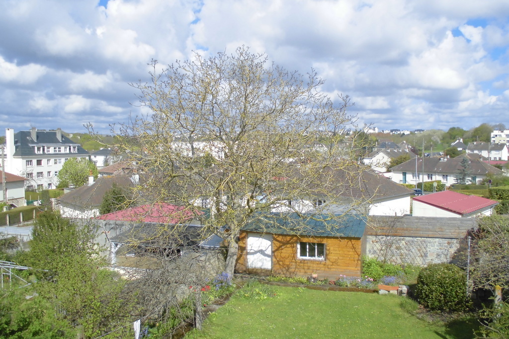 back garden in April, view from the main bedroom