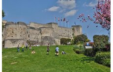 William the Conqueror Castle grounds, free access, museums, 5 min. walk through university campus.