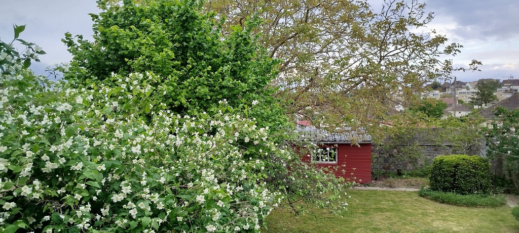 Garden in May. View from the terrasse.