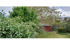 Garden in May. View from the terrasse.