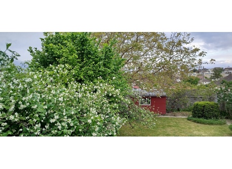 Garden in May. View from the terrasse.