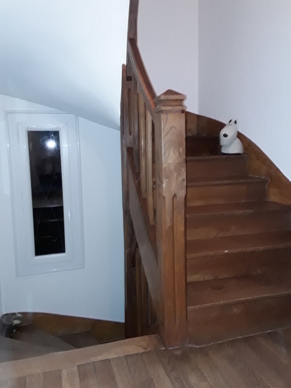 doggy mascot in the staircase (!)