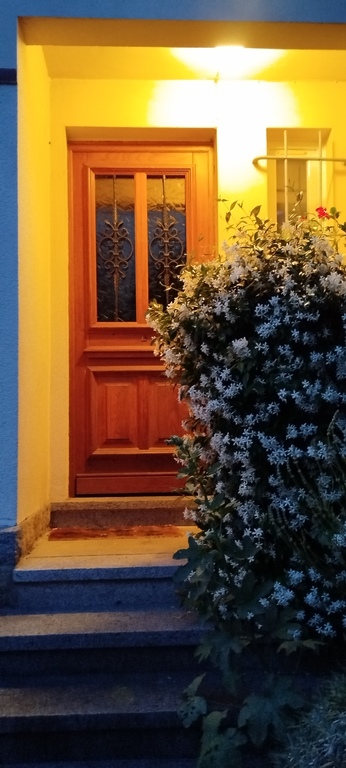 Entrance at night in June, jasmine in bloom.