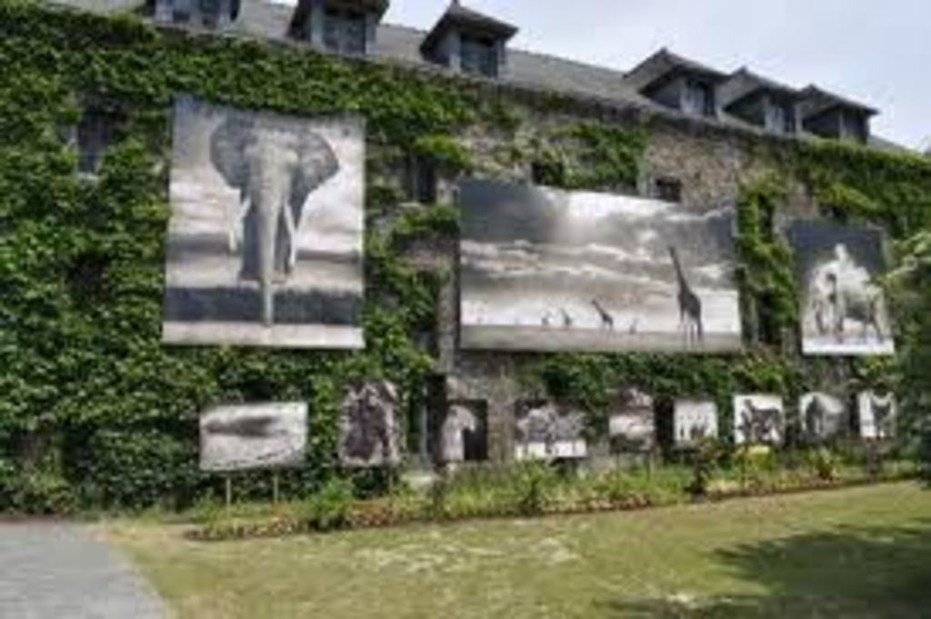 Festival de Photo a la Gacilly  à 15 km de la maison, chaque année plus de1000 photos en plein air