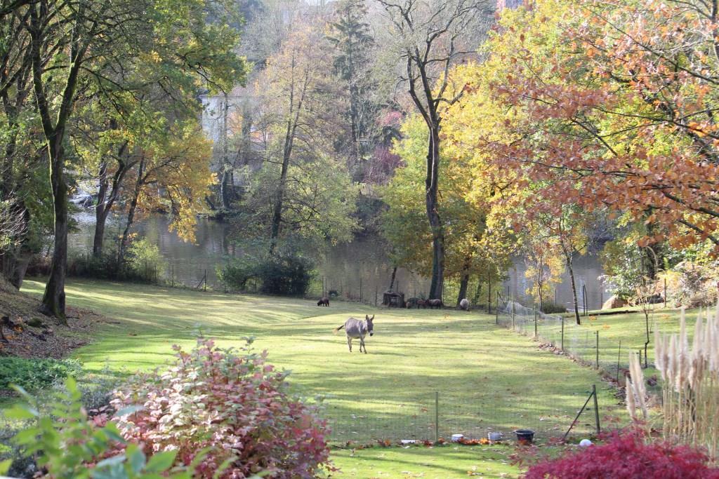 from house on autumn