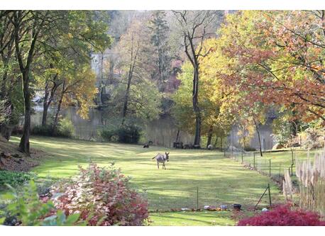 from house on autumn