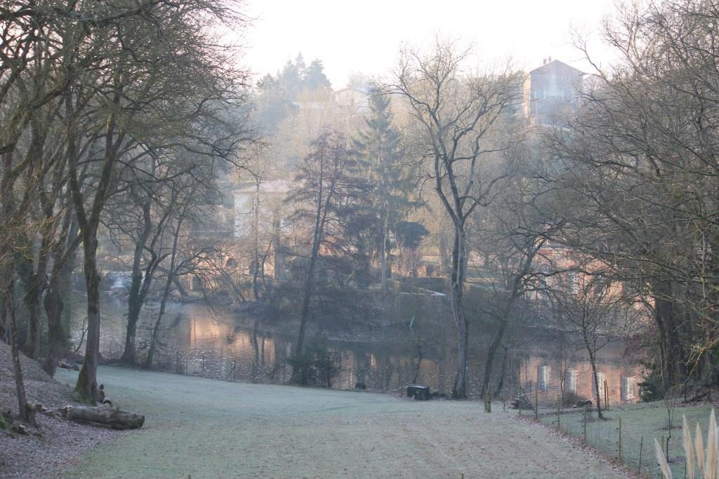 from our windows in winter