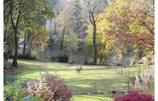 from house on autumn