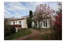 House in front of river on spring