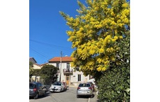 Our house (South side) is located in a friendly neighbourghood and a quiet dead end street off the main road