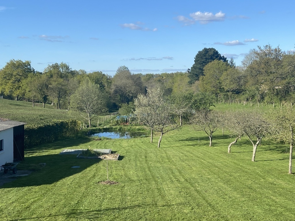 Jardin à l'arrière de la maison