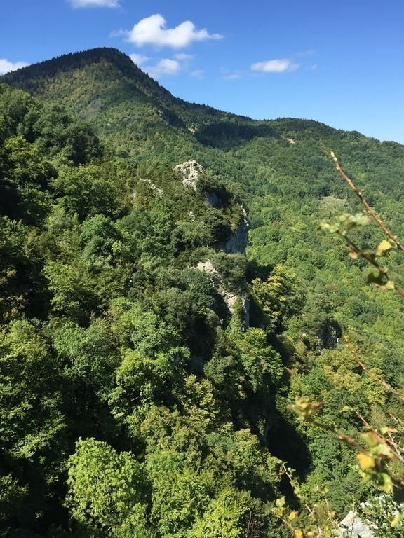 Walk not far from house