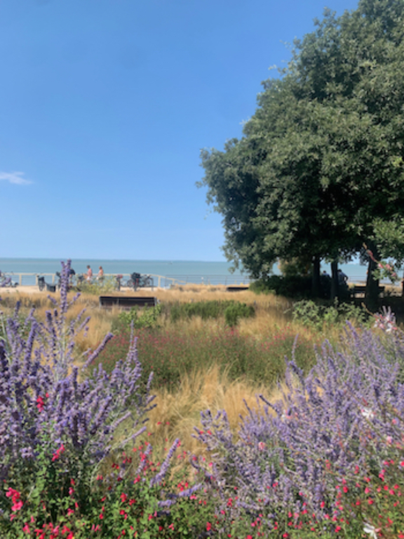 way to the main beach 10 mn walk