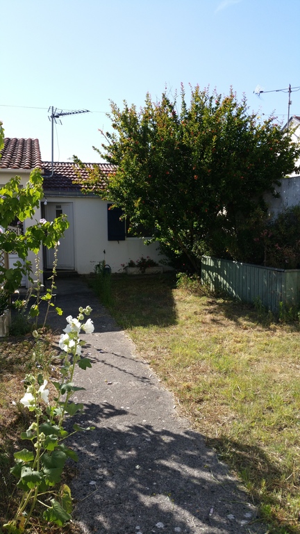 garden back of the house with studio 